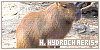 H hydrochaeris